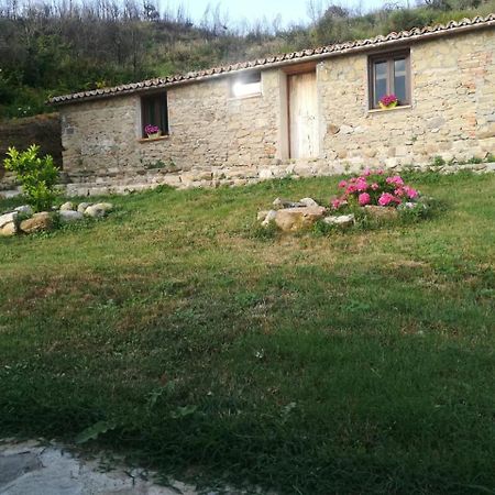 Il Cerro Agriturismo Zagarese Fuscaldo Exteriér fotografie
